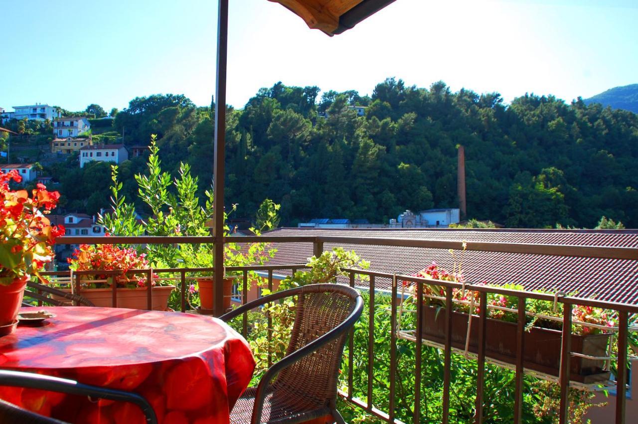 Apartman Senka *